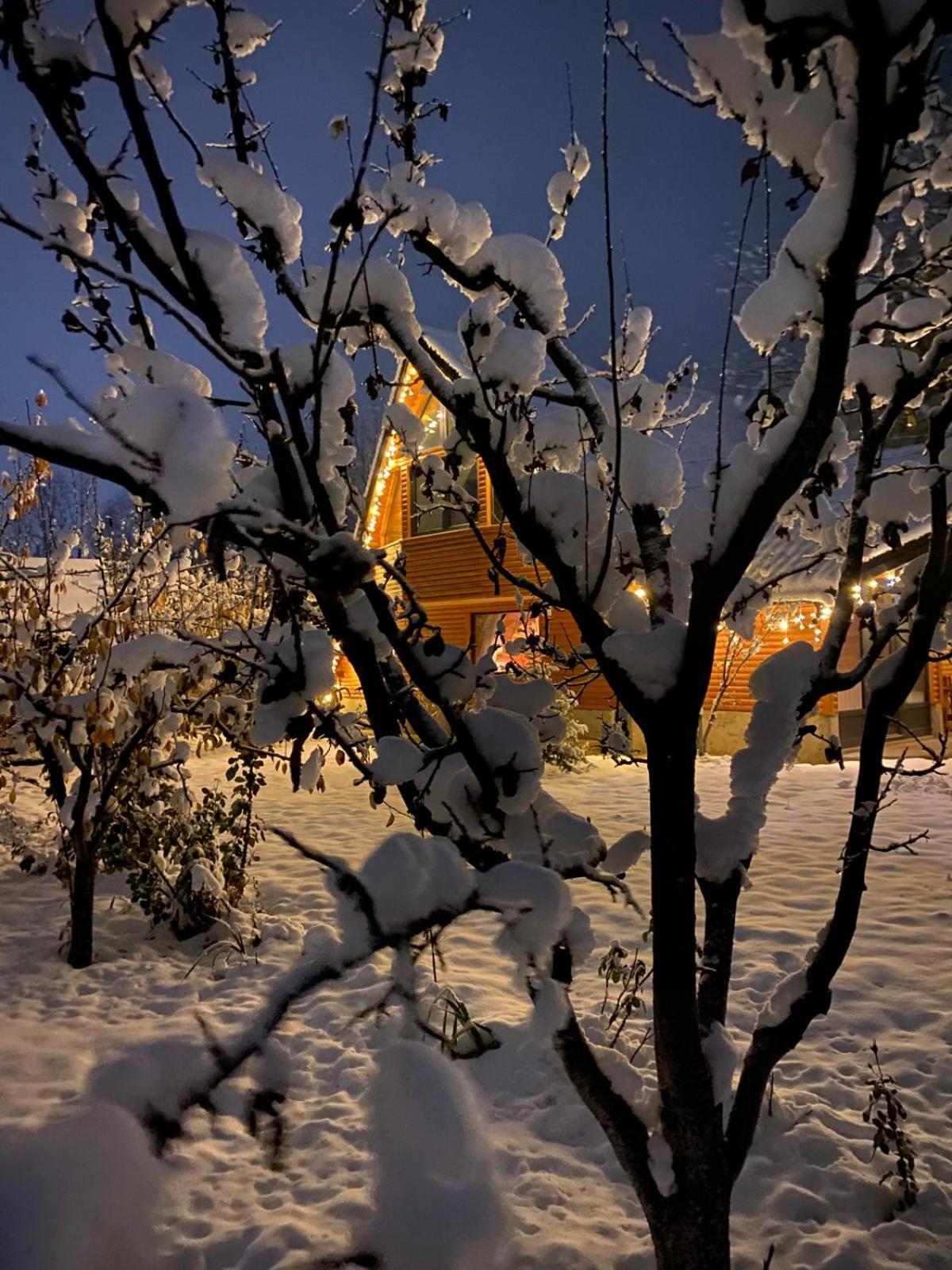 Moonlake Chalet Gainesti المظهر الخارجي الصورة