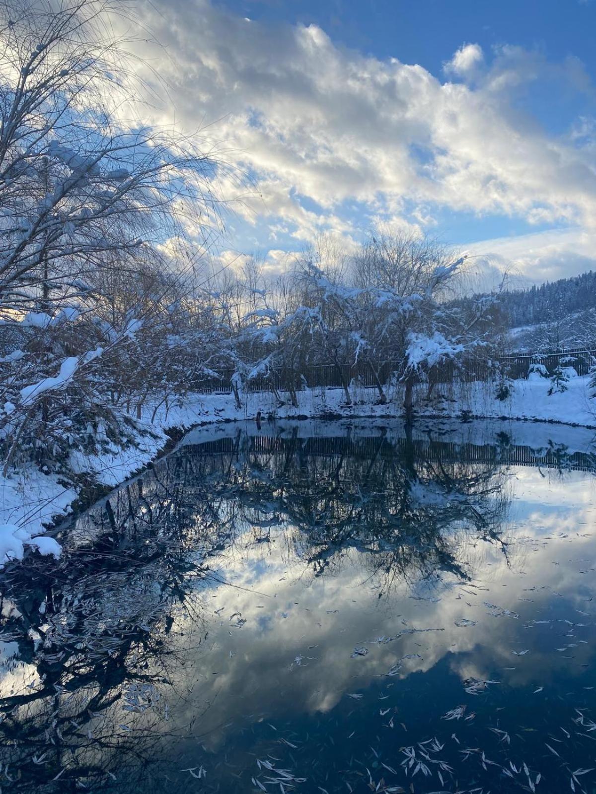 Moonlake Chalet Gainesti المظهر الخارجي الصورة