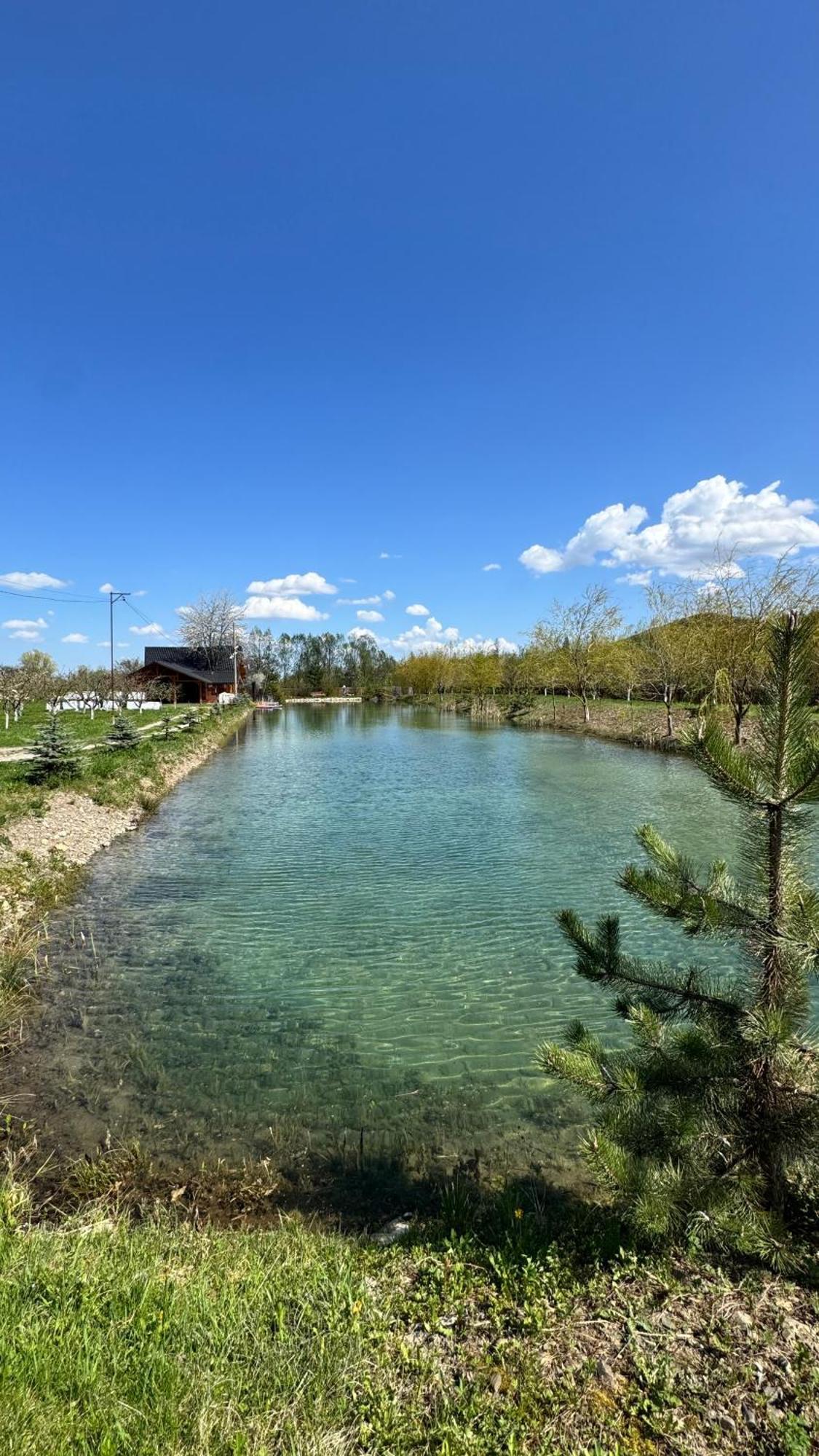 Moonlake Chalet Gainesti المظهر الخارجي الصورة